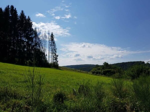 01ere Edition De La Promenade Saint Monon 065