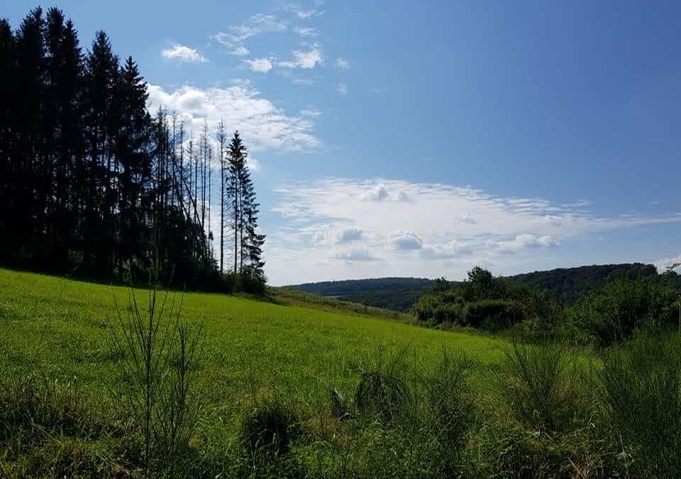 01ere-edition-de-la-Promenade-Saint-Monon