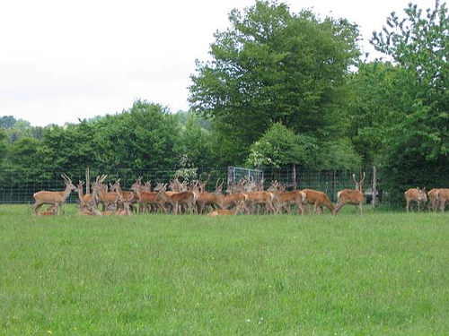 03eme-edition-de-la-Promenade-Saint-Monon