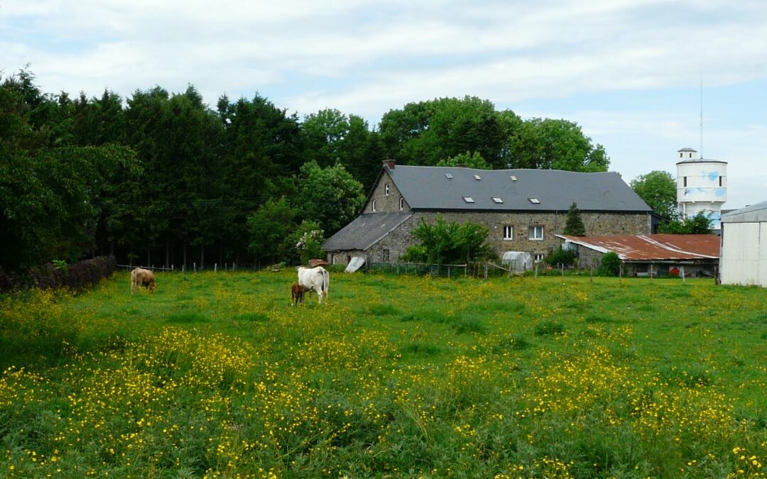 07eme-edition-de-la-BG-de-Saint-Monon