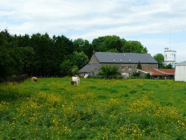 07eme Edition De La BG De Saint Monon 158