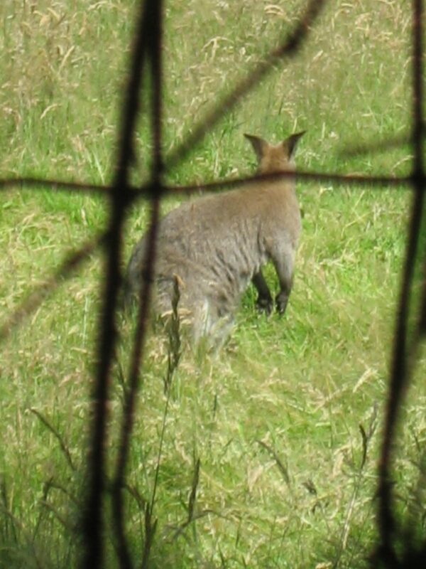 09eme Edition De La BG De Saint Monon 246