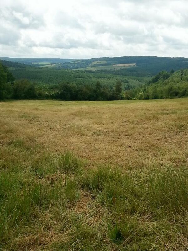 12eme Edition De La BG De Saint Monon 035