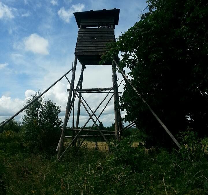 12eme edition de la BG de Saint Monon