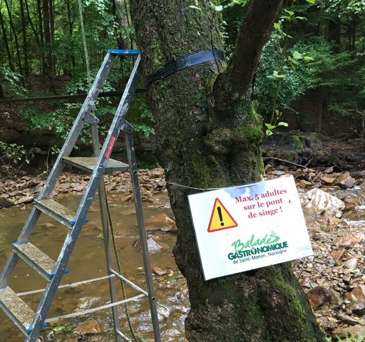 13eme edition de la BG de Saint Monon