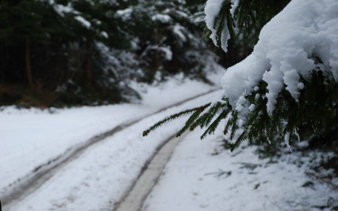Reconnaissance Parcours BG 2009