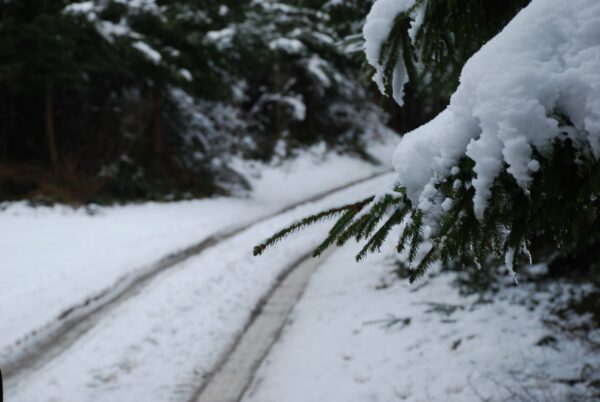 Reconnaissance Parcours BG 2009 067