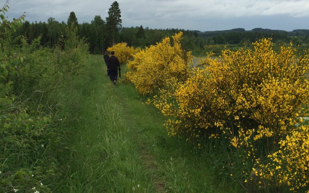 Reconnaissance Parcours BG 2015