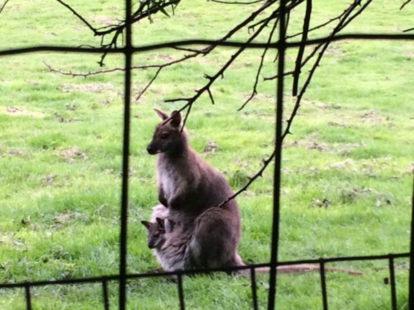 Reconnaissance Parcours BG 2015 023
