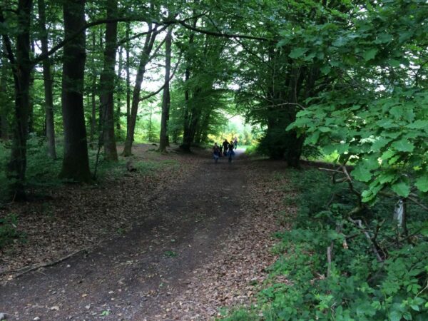 Reconnaissance Parcours BG 2015 027