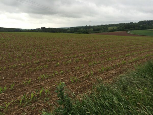 Reconnaissance Parcours BG 2015 028