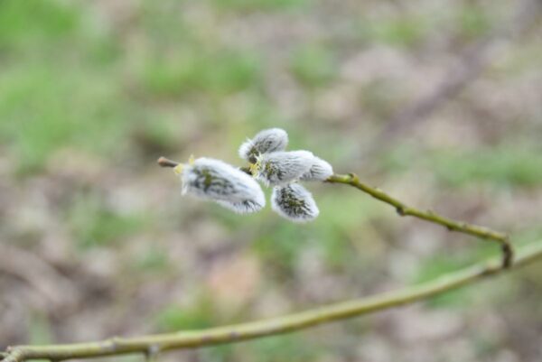 Reconnaissance Parcours BG 2016 007
