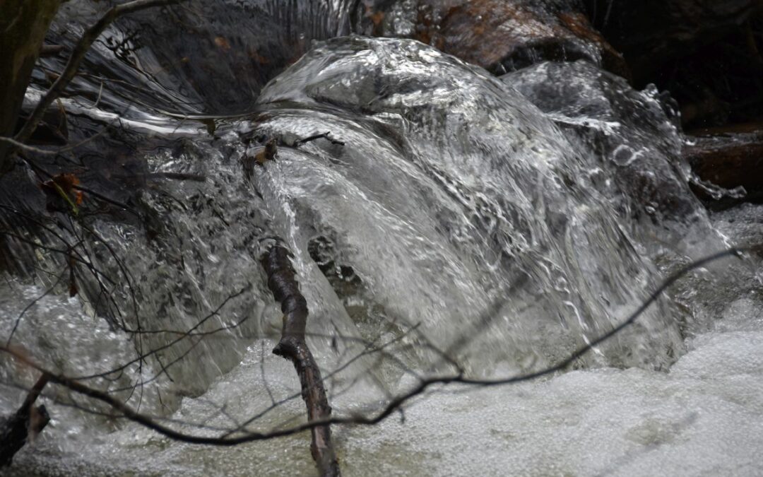 Reconnaissance Parcours BG 2016