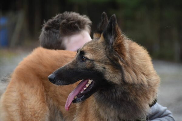 Reconnaissance Parcours BG 2016 058