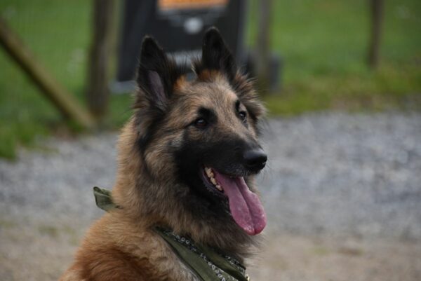 Reconnaissance Parcours BG 2016 059