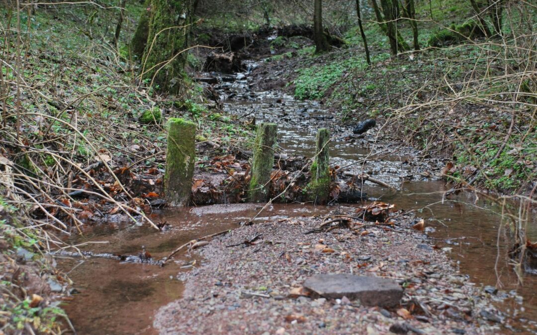 Reconnaissance parcours BG 2011