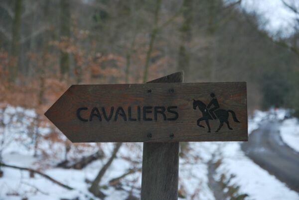 Reconnaissance Parcours BG 2013 032