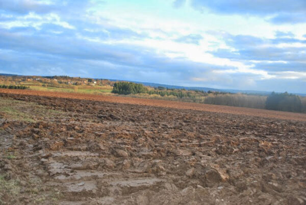 Reconnaissance Parcours BG 2014 079