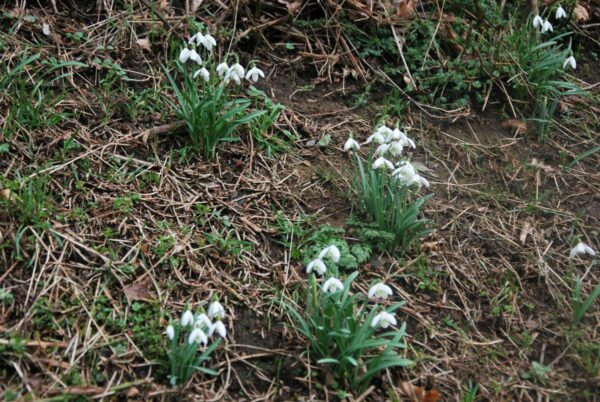 Reconnaissance Parcours BG 2014 083