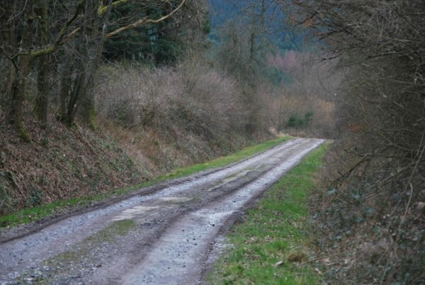 Reconnaissance Parcours BG 2014 084