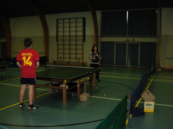 Stage Janvier 2013 028