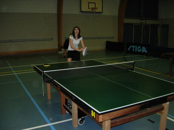 Stage Janvier 2013 029